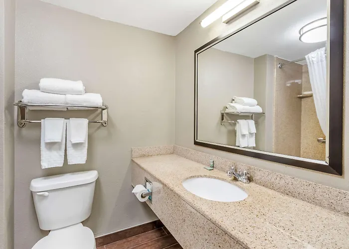 Comfort & - Northwoods Hotel North Charleston