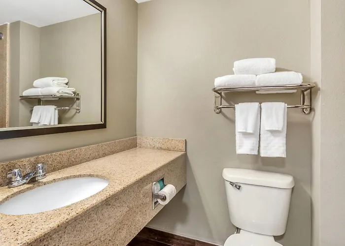 Comfort & - Northwoods North Charleston