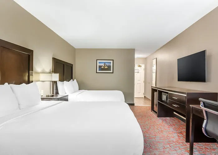 Comfort & - Northwoods Hotel North Charleston