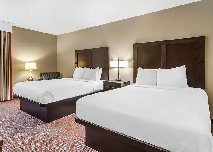 Comfort & - Northwoods Hotel 4*