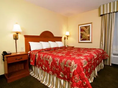 Comfort & - Northwoods Hotel 4*